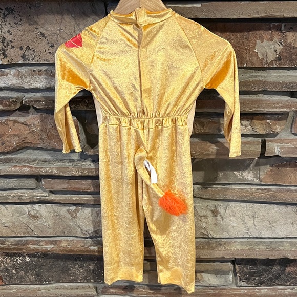 Kids Lion Guard Kion Costume from Disney - Picture 8 of 11